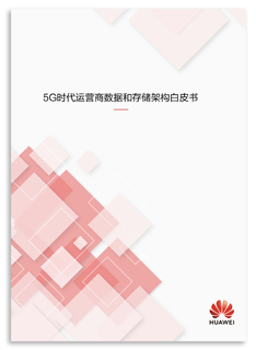 5G时代运营商数据和存储架构白皮书